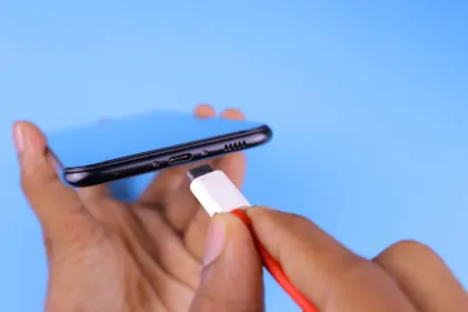 Kaszinó Dogs Fortune Mobilalkalmazás